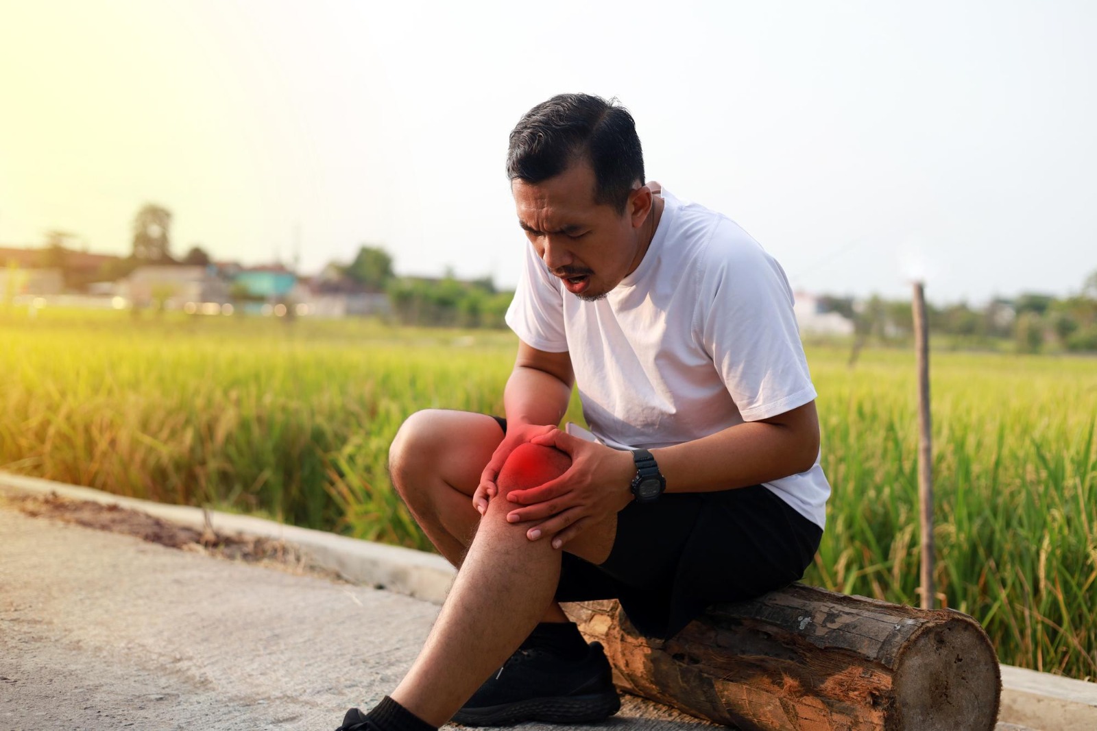Knee Pain Blog